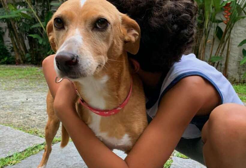 Отель Pousada Manaca