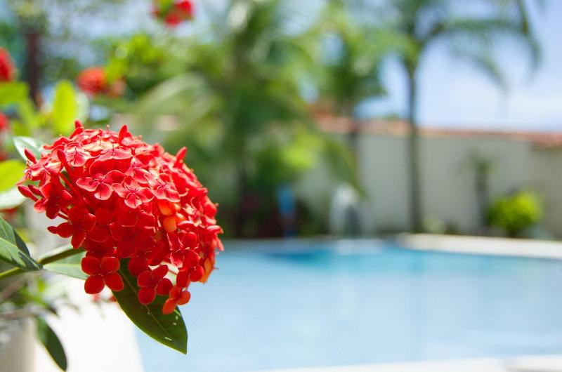 בית מלון כפרי Pousada Novo Prado