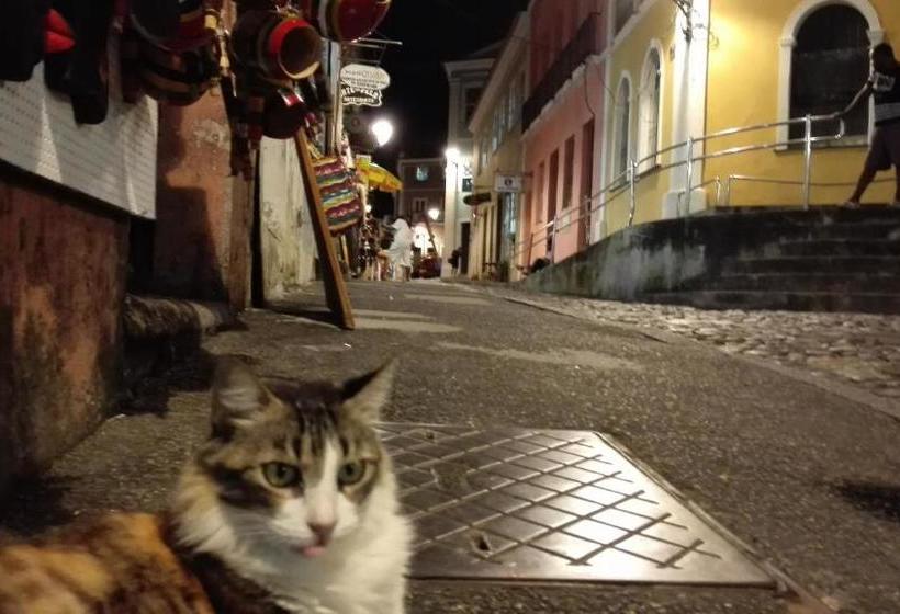 酒店 Pousada Terra Nossa