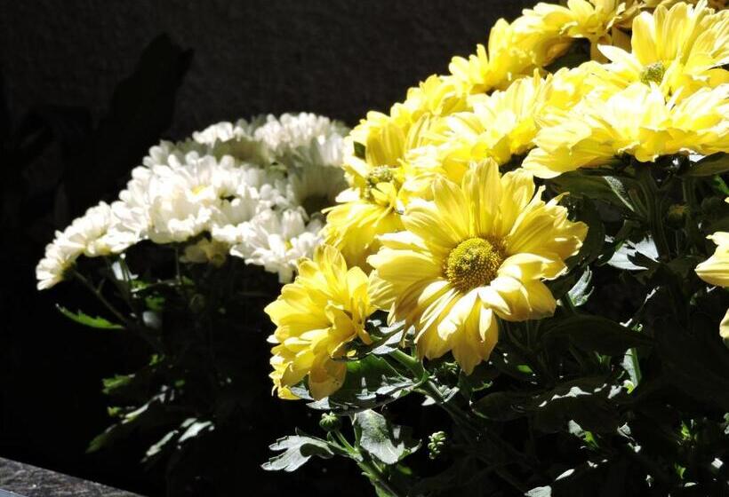 Отель Pousada Trem Do Imperador