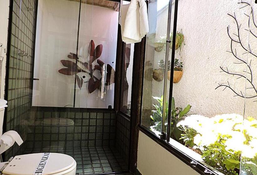 Отель Pousada Trem Do Imperador