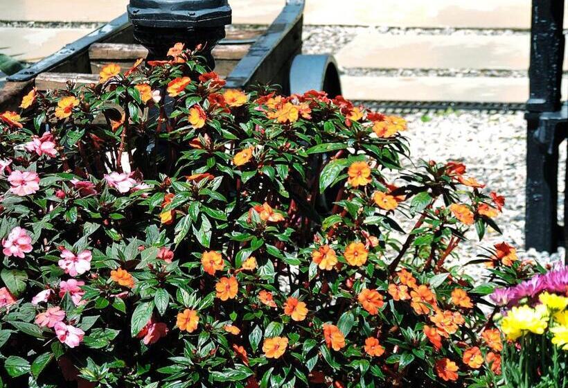 Отель Pousada Trem Do Imperador