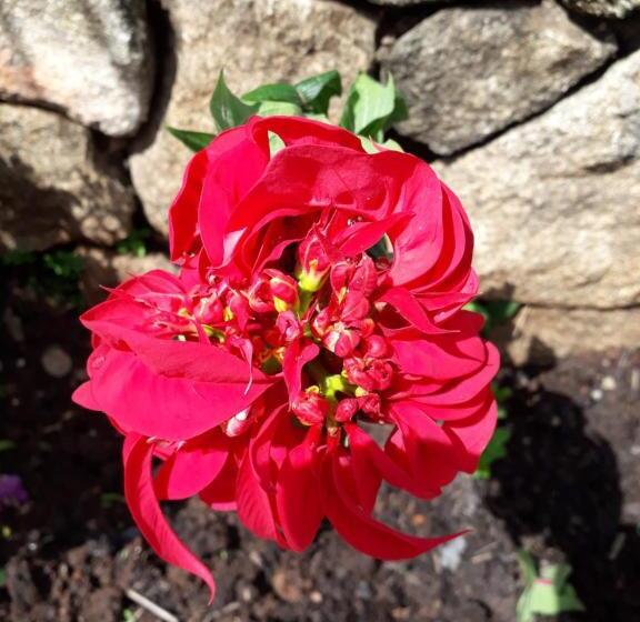 酒店 Pouso Mariazinha