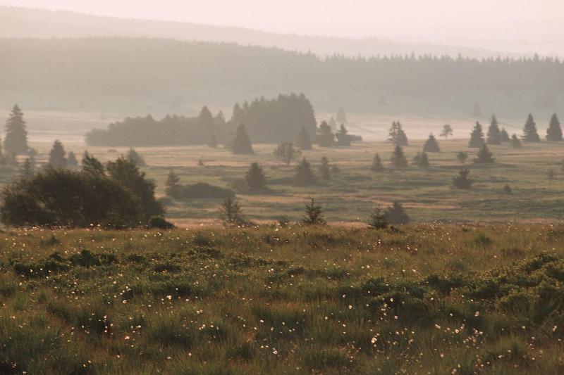 هتل Restaurant Tychon Ag