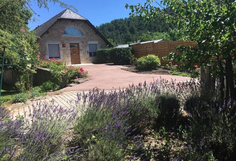 Отель Hôtel & Spa Rodier