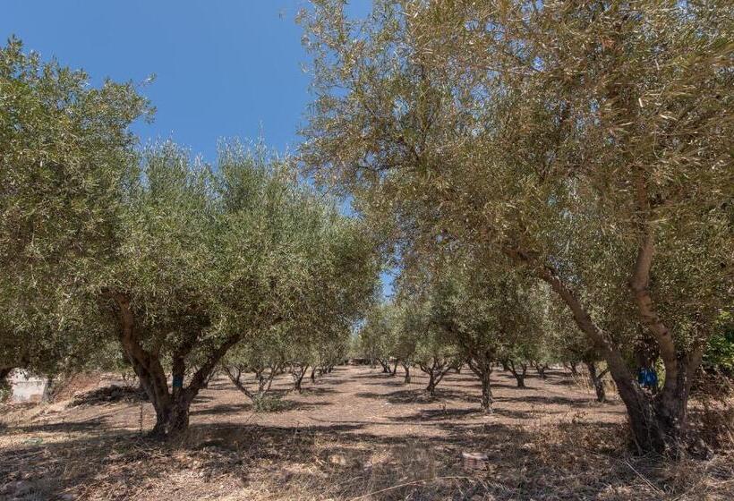 Сельский отель Lameriana Secret Village