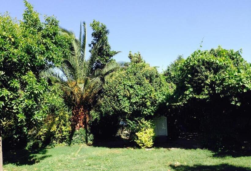 ホテル San Fernando