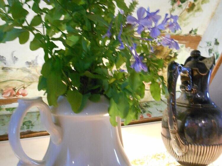 Отель Solar Das Artes Pousada Boutique