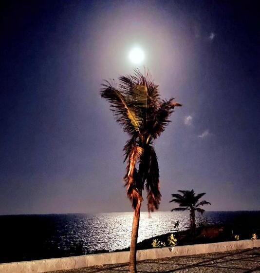 Отель Pousada Terra Nova