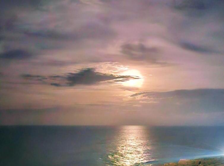 Отель Pousada Terra Nova