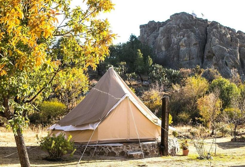 Echological Hotel Restaurante & Spa