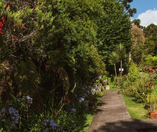 Хостел Pousada Medeiros