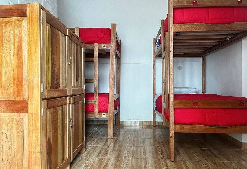 Tupac Hostel Huaraz