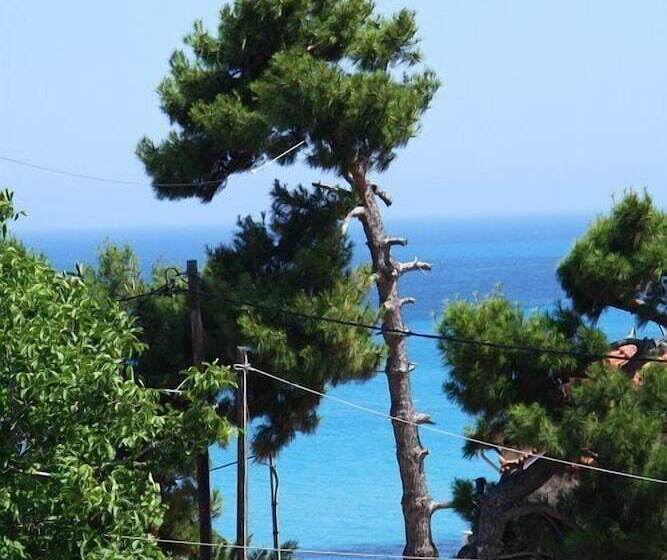 Alexander Apartments