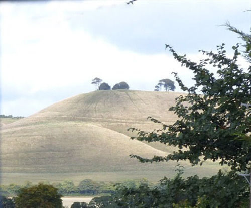 Avalon Lodge Bed And Breakfast