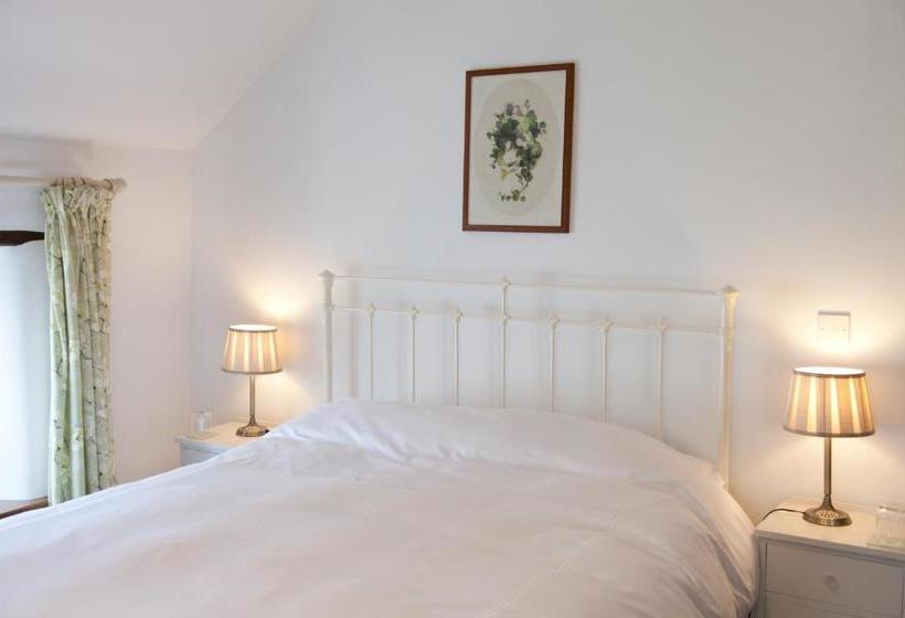 Belmont Bed And Breakfast