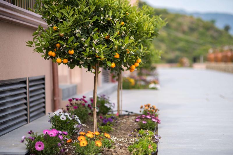 Best Western Plus Hotel Terre Di Eolo