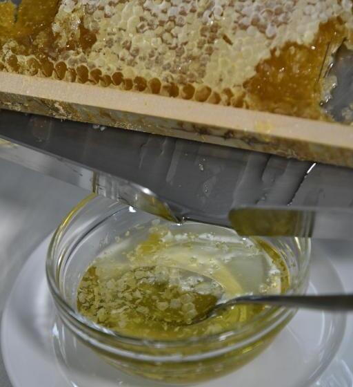 酒店 & Apartments Sasso