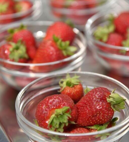 酒店 & Apartments Sasso