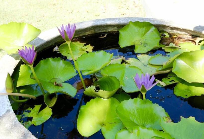 Отель Baan Suan Nuan Ta