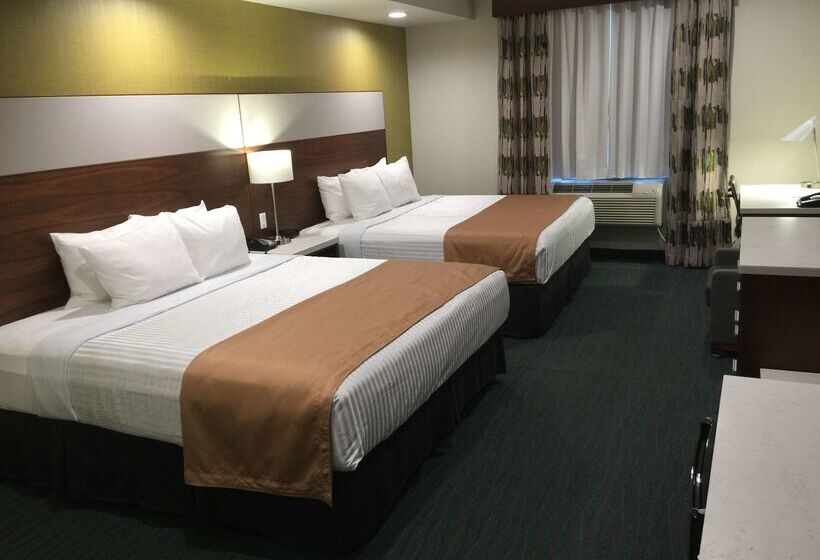 فندق Best Western Plus Gardena Los Angeles Inn & Suites