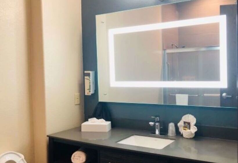 Отель Best Western Plus Pflugerville Inn & Suites