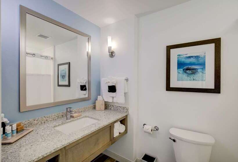 ホテル Best Western Premier   The Tides