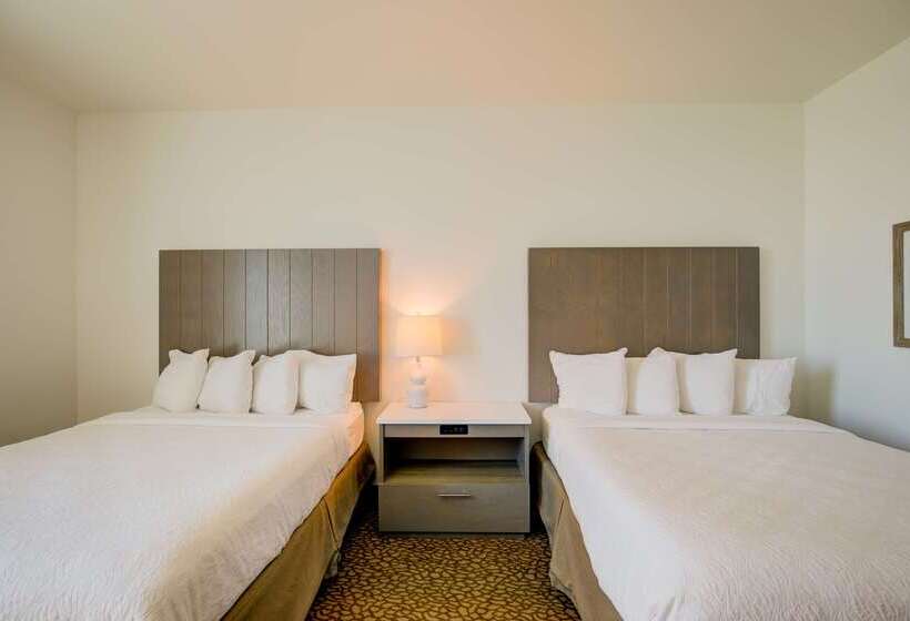 ホテル Best Western Premier   The Tides