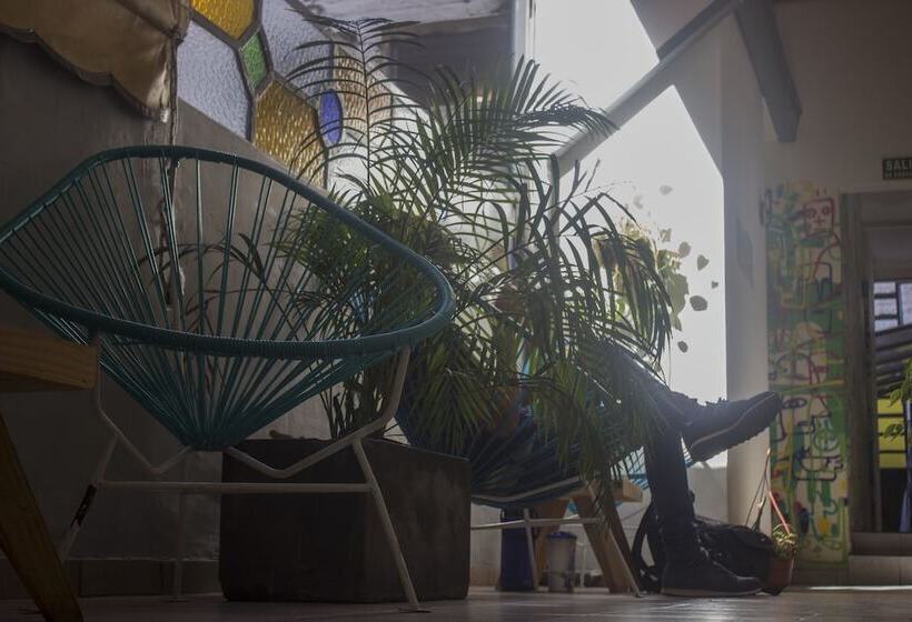 ホテル Bonarda Bon Hostel