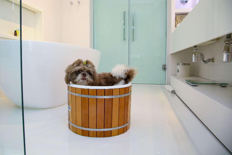 فندق Bossa Nova Ipanema