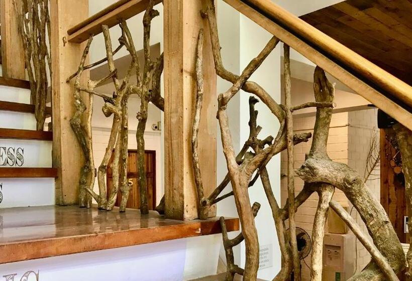 Cabins By Eco Hotel Tagaytay