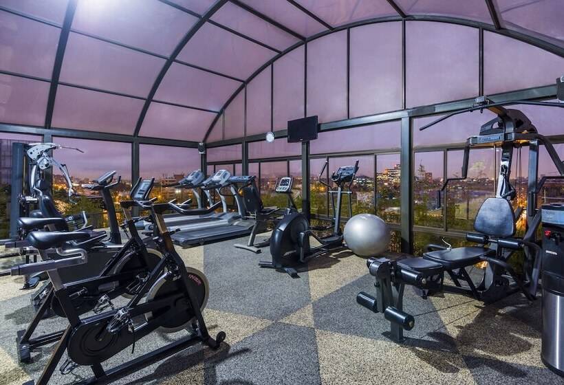 酒店 Cosmos 100 Executive