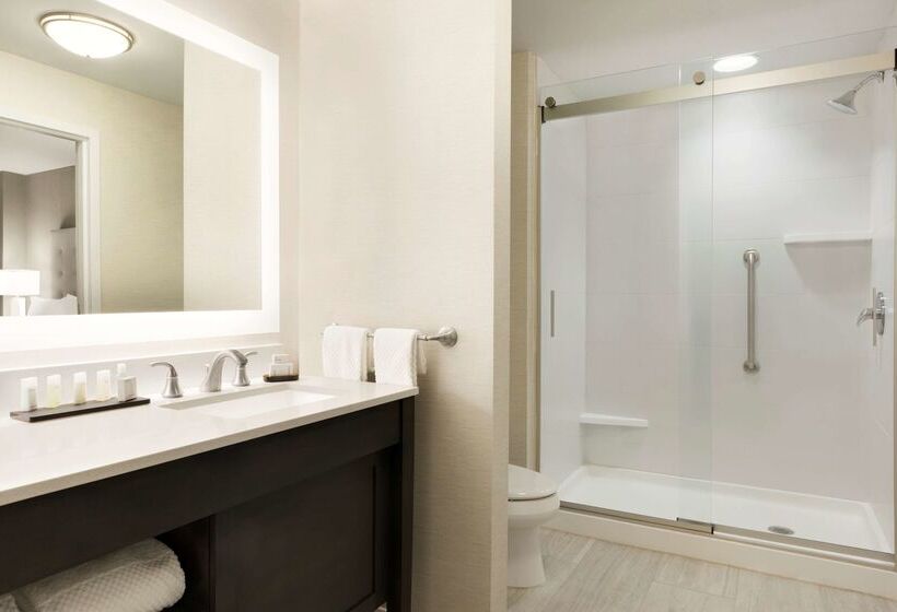 בית מלון כפרי Embassy Suites By Hilton Greenville Downtown Riverplace