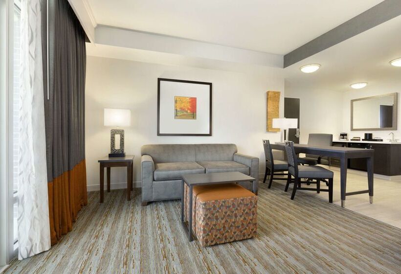 בית מלון כפרי Embassy Suites By Hilton Greenville Downtown Riverplace