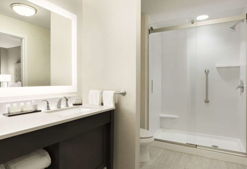 בית מלון כפרי Embassy Suites By Hilton Greenville Downtown Riverplace