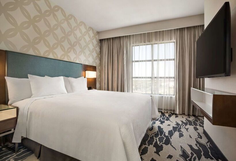 Hotel Embassy Suites By Hilton Mcallen Convention Center