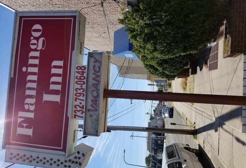 ホテル Flamingo Inn