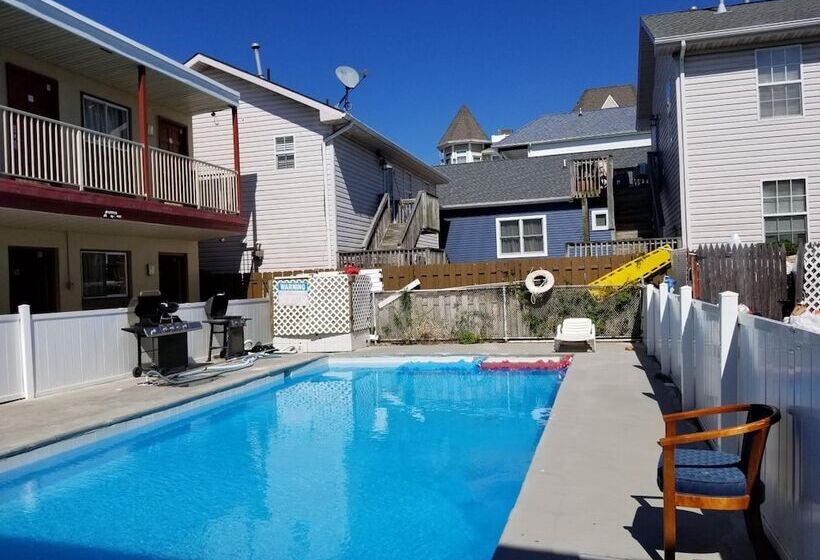 ホテル Flamingo Inn