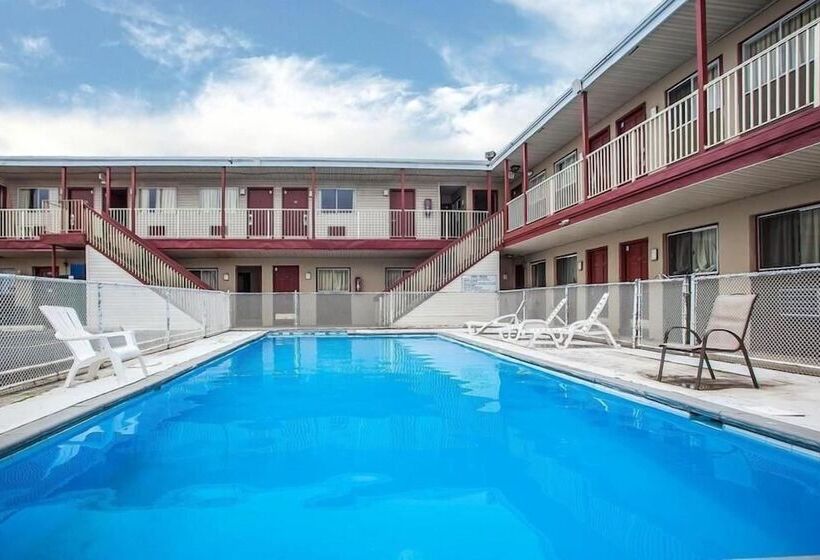 ホテル Flamingo Inn