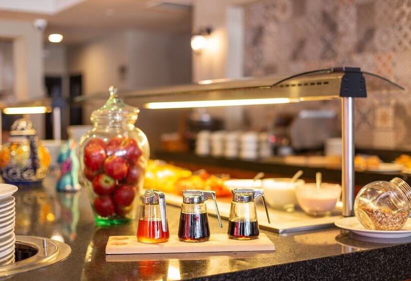 فندق Gamma Mazatlan The Inn At Centro Historico