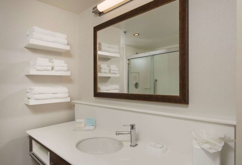 فندق Hampton Inn & Suites Braselton