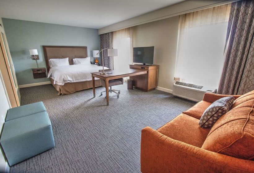 فندق Hampton Inn & Suites Braselton