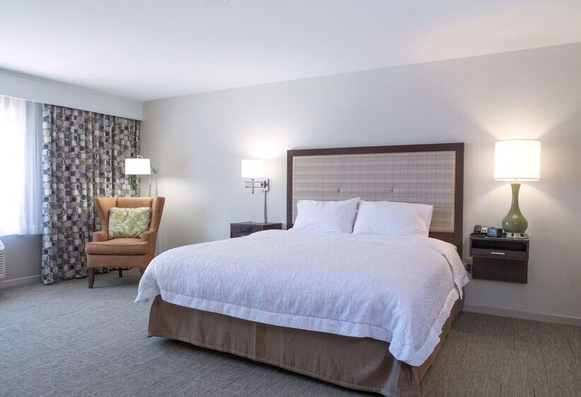 فندق Hampton Inn & Suites Whitefish