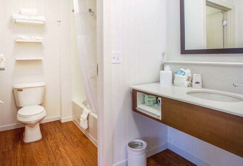 فندق Hampton Inn & Suites Whitefish