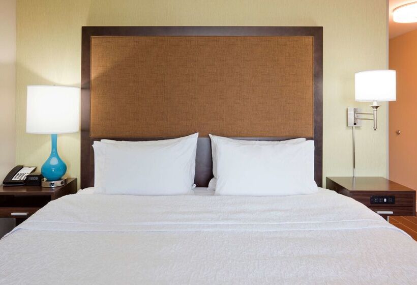 Отель Hampton Inn Minneapolis Roseville