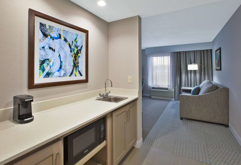 ホテル Hampton Inn & Suites Alliance