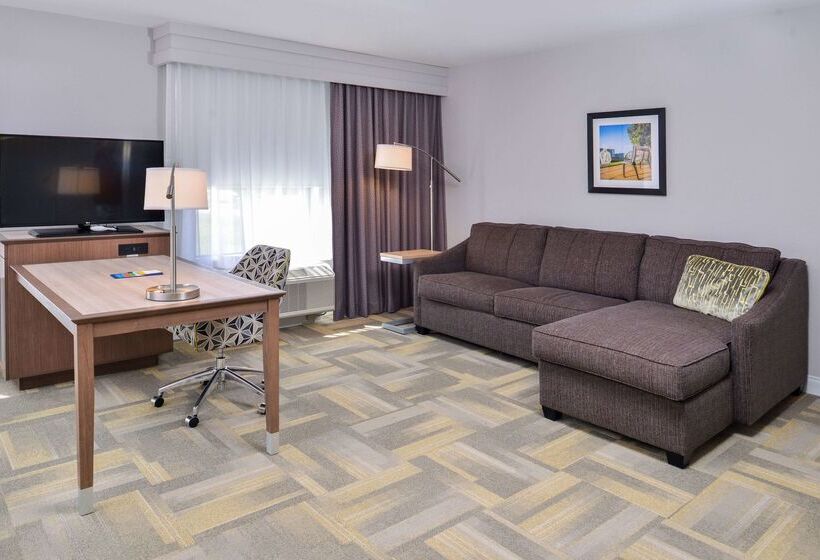فندق Hampton Inn & Suites Altoonades Moines
