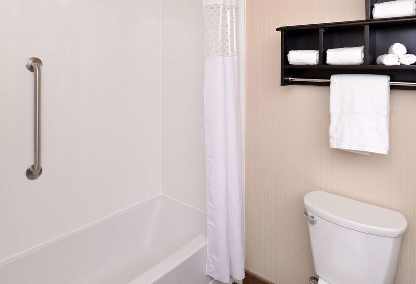 酒店 Hampton Inn & Suites Douglas