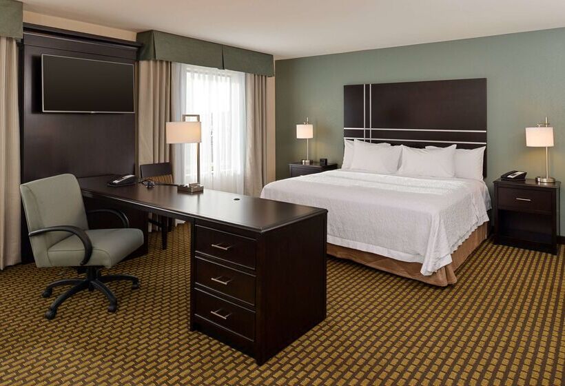 酒店 Hampton Inn & Suites Douglas