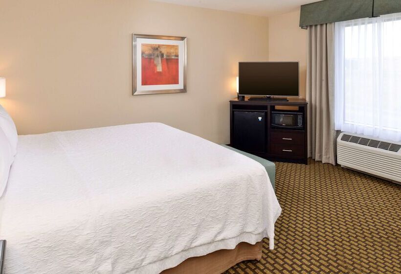 酒店 Hampton Inn & Suites Douglas